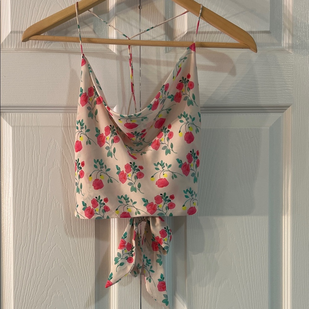 Zara Floral Camisole Crop Top NWOT